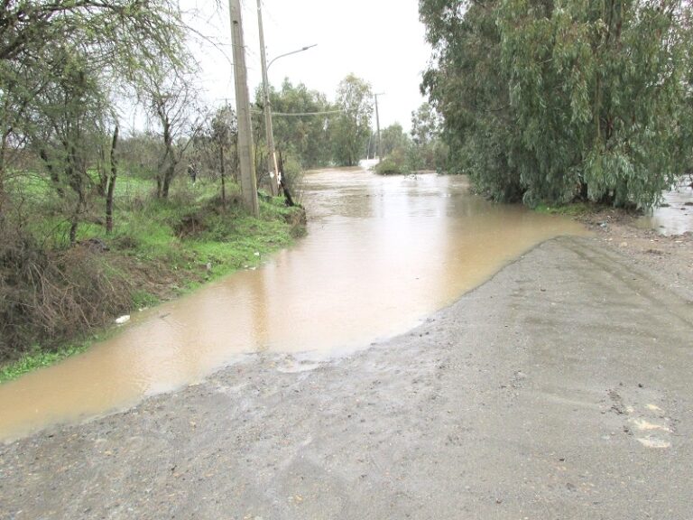 Villa Alegre: agricultores No Indap reciben sacos de alimentos