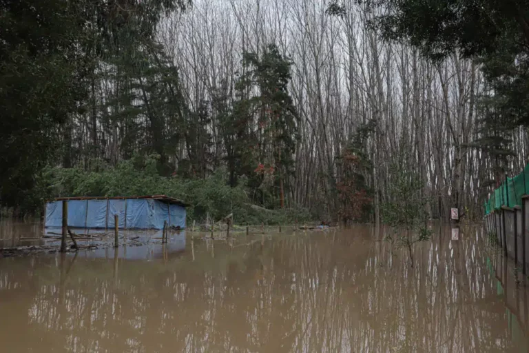 Llaman a evacuar sectores de Parral y Linares por desborde de ríos en la región del Maule