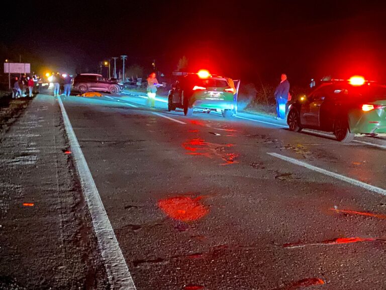 Villa Alegre: adulto mayor muere atropellado en Ruta L-30-M
