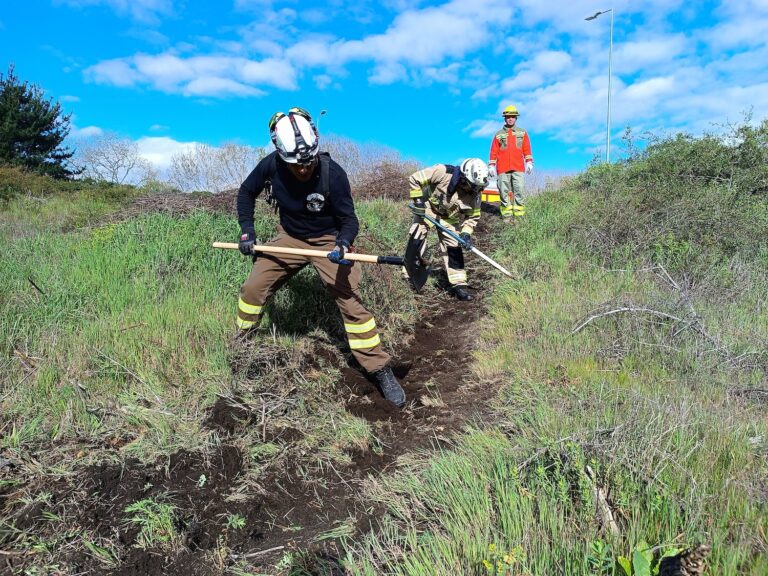 25 bomberos del Maule se capacitan en combate contra incendios forestales