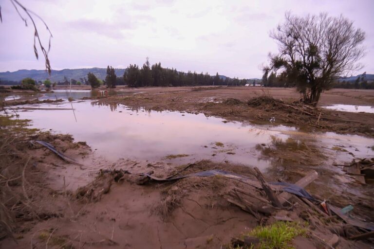 Licantén y Curepto reciben ayudas agrícolas post inundaciones