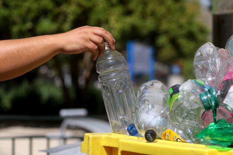 Municipios del Biobío, La Araucanía y Maule participan del primer encuentro de Comunas Sin Basura