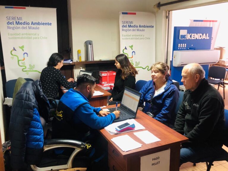 Recambio de calefactores en el Maule: proceso de copago se extiende hasta octubre