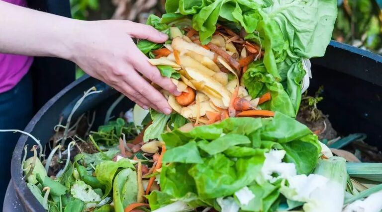 Directora de Odepa hizo un llamado a no desperdiciar alimentos en Fiestas Patrias