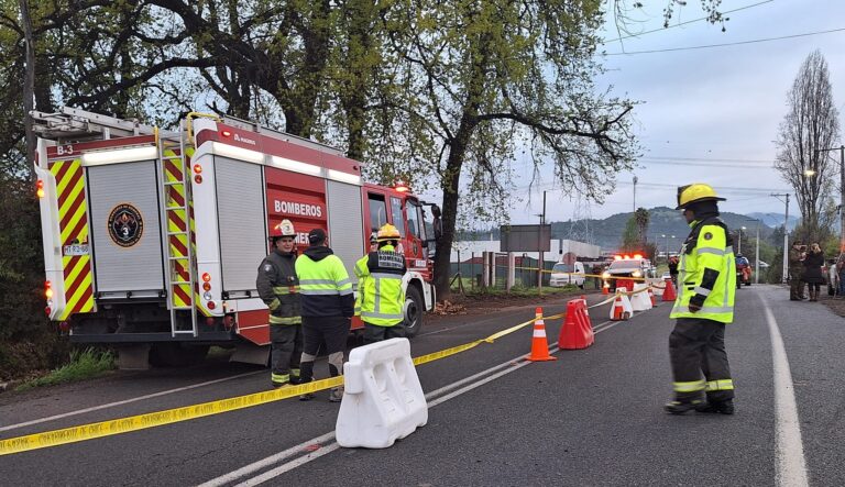 Romeral: fatal accidente deja cuatro fallecidos y un herido en Ruta J-55