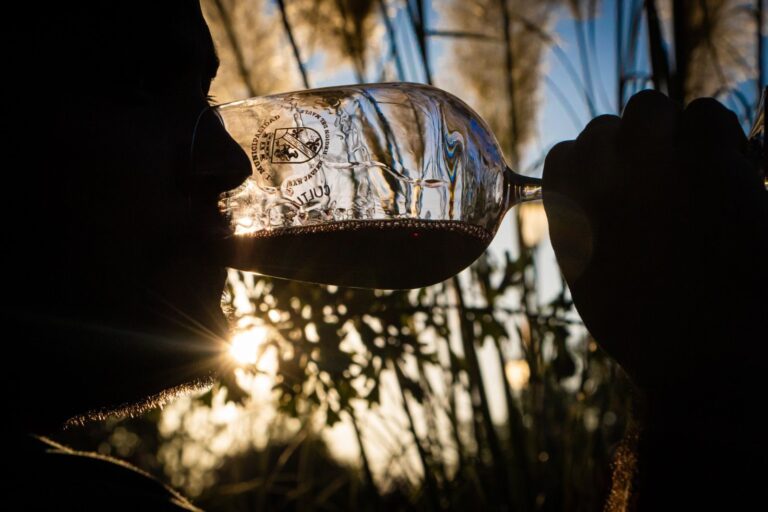 San Javier: Lanzan versión n°18 de Cultura y Vino