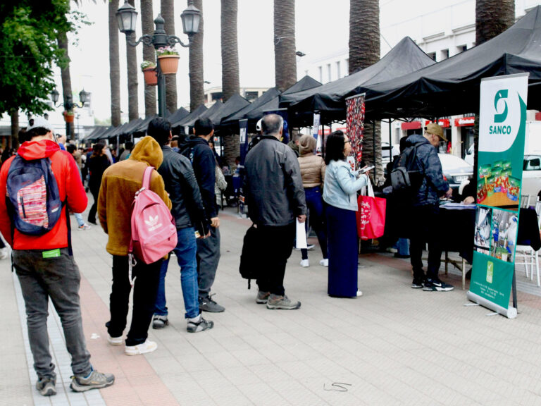 Curicó: feria laboral congregó a cientos de personas