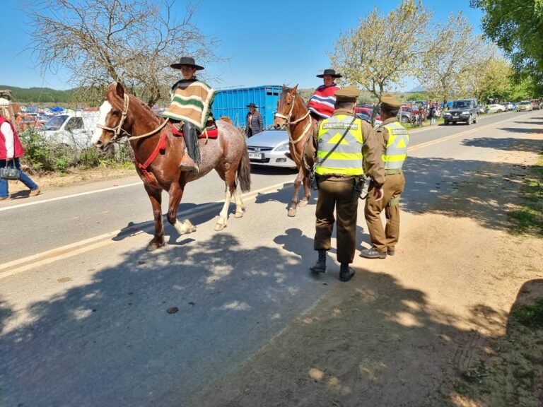San Javier: refuerzan seguridad durante fiesta religiosa de San Francisco de Asís en Huerta de Maule