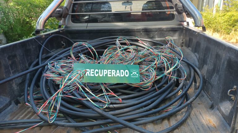 Curicó: sorprenden a sujetos robando cables de líneas férreas