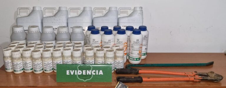 Molina: antisociales roban insumos quimicos fundo Santa Graciela