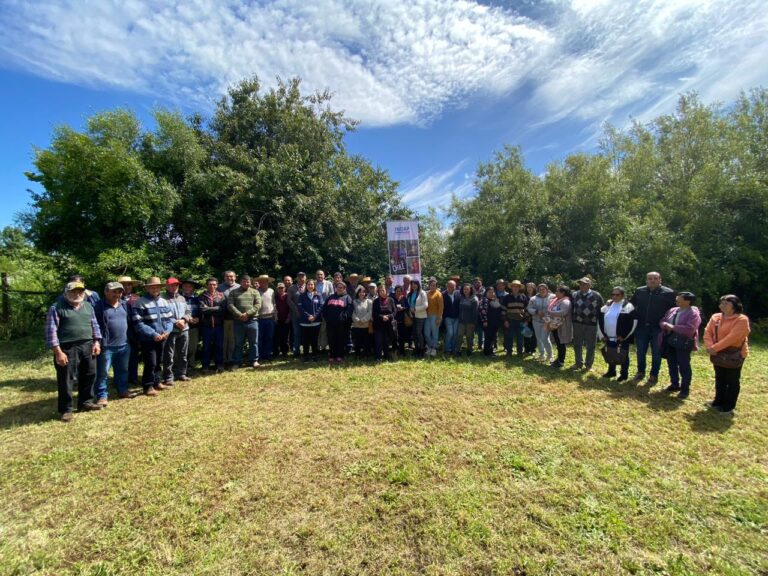 Curepto: Entrega de recursos para la compra de alimentación animal tras emergencia 