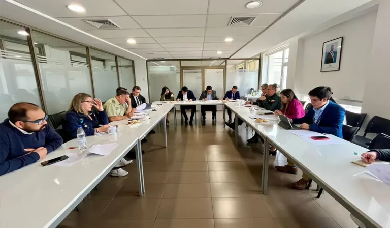 Coordinación y Estrategia: avances en seguridad analizados en nueva sesión del Comité Policial Regional