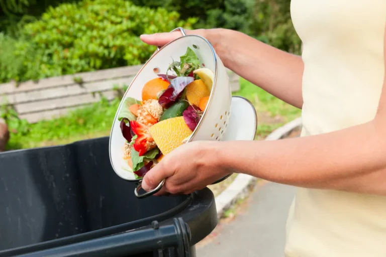 Nuevas herramientas digitales para evitar los desperdicios de alimentos