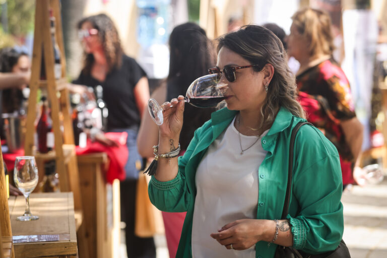 San Javier: más de 15 mil asistentes dieron vida a Cultura y Vino