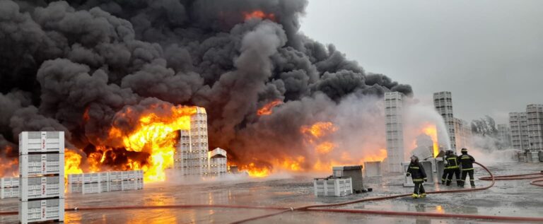VIDEO | Teno: incendio consume Planta Agrozzi