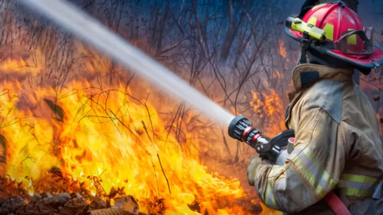 Por quema de basura: Imputan a agricultor por incendio forestal en San Javier