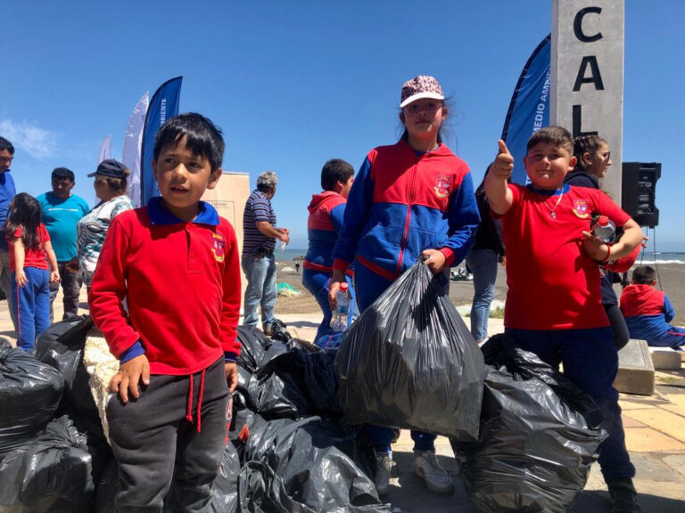 Chanco: operativo de limpieza recolectó cerca de 300kg de residuos marinos