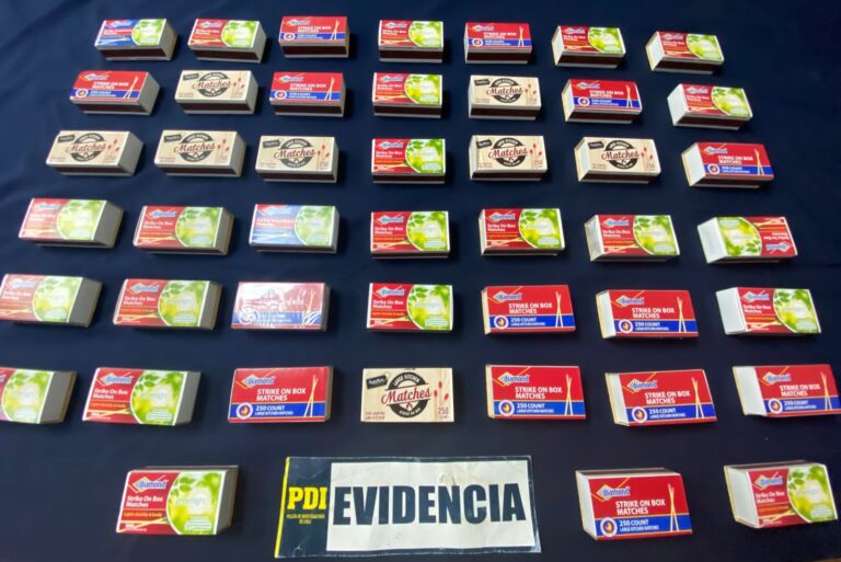 Retiro: PDI detuvo a dos personas que ofrecían especies robadas 