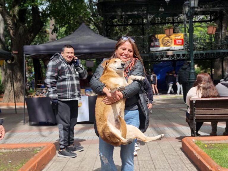 Curicó: encuentran los perritos que se habían perdido tras Maratón del Maule