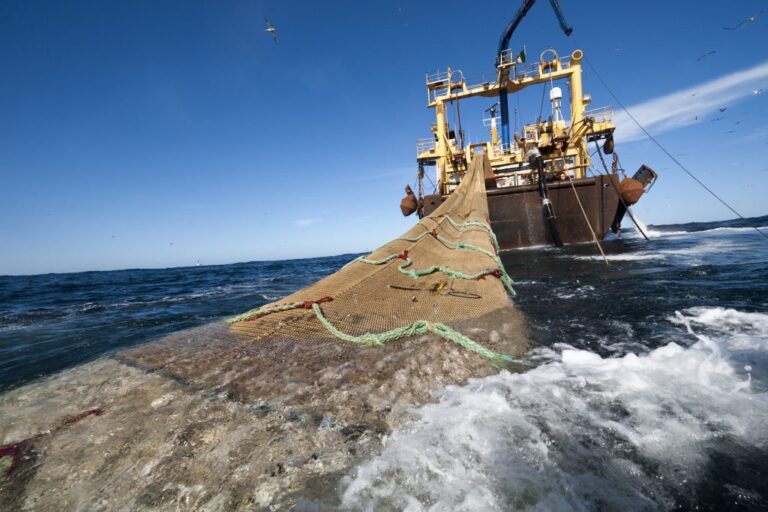 Nuevo proyecto busca mejorar la detección de la pesca ilegal en las costas chilenas