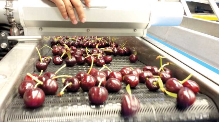 Fenómeno del niño está causando estragos en la fruticultura