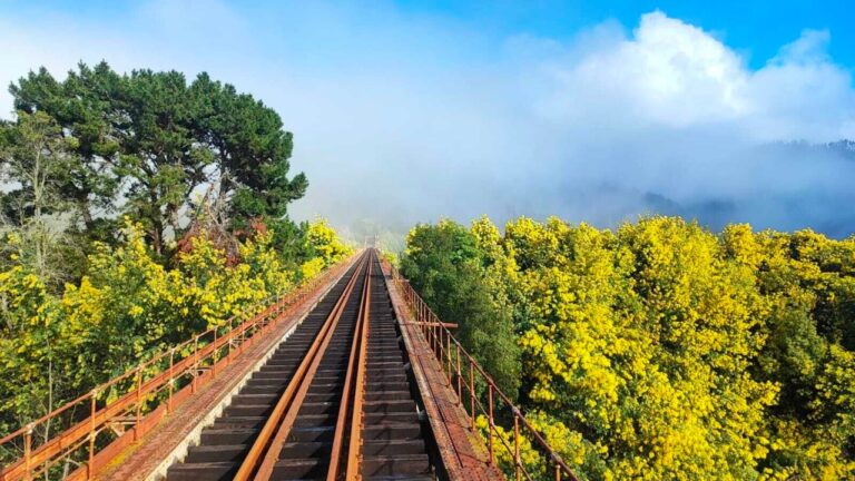Ramal Talca Constitución volvió a funcionar con normalidad