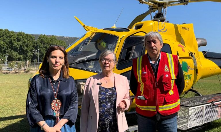 Diputada Bulnes fiscaliza medidas en Conaf Maule para combatir incendios forestales