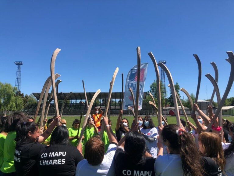 Comunidad Mapuche Revive el Palín Ancestral en Longaví