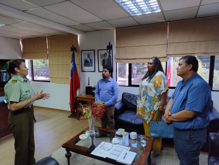 Teno: Concejales piden a Carabineros mayor seguridad por alza delictiva
