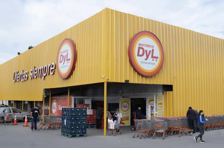 Supermercado DyL de Talca fue prohibido de funcionar por faltas sanitarias