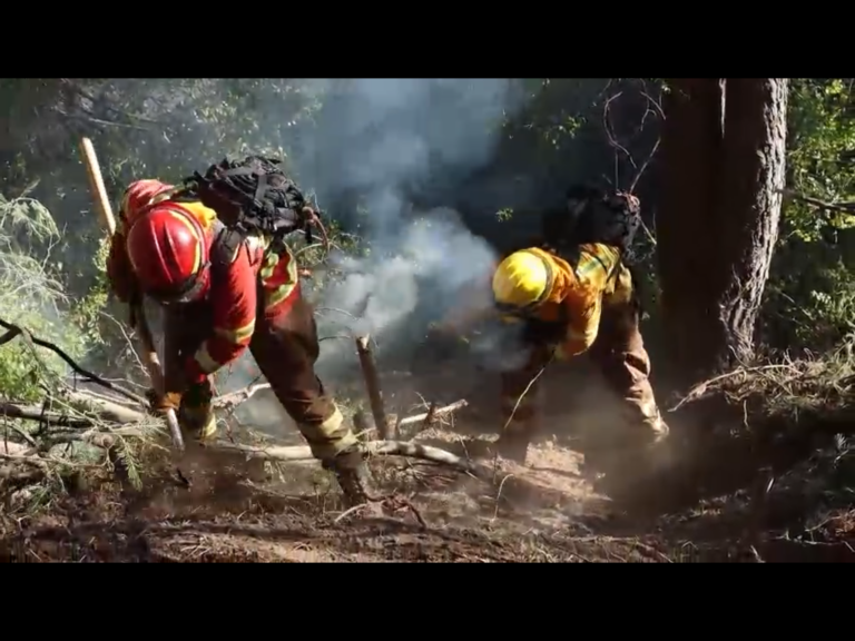 CONAF: Campaña para Evitar Incendios en Estas Fiestas