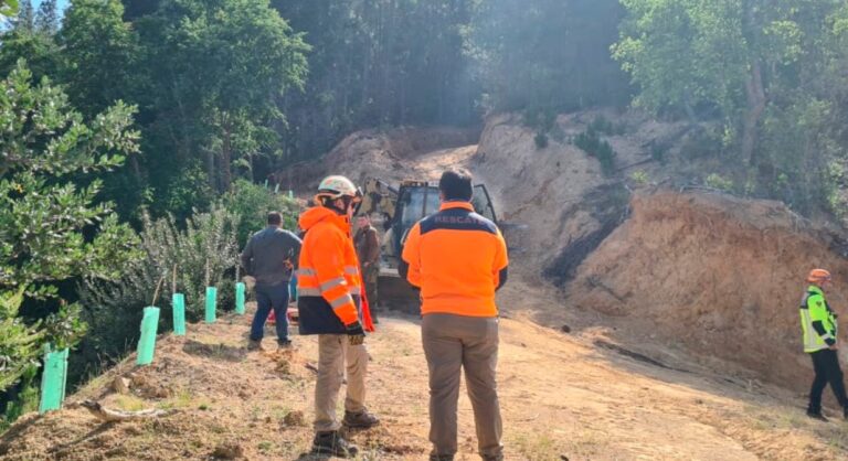 Linares: Volcamiento deja a víctima fatal