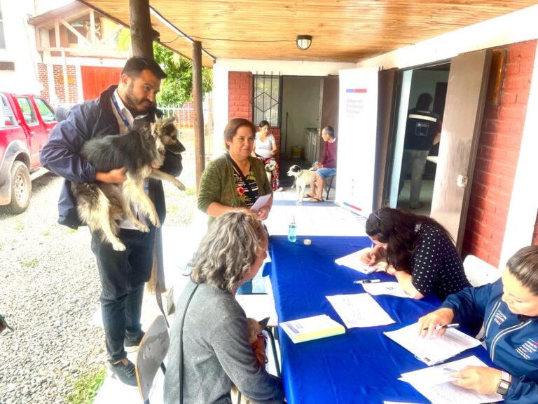 Sagrada Familia: Ayuda, Cuidado Veterinario y Atención Animal