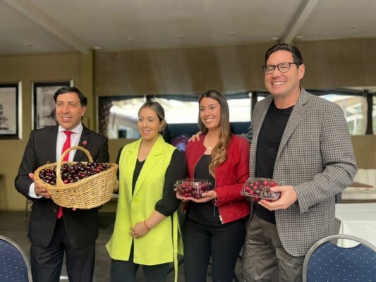 Descubre la Irresistible Parrilla del Festival de la Guinda de Romeral 2023