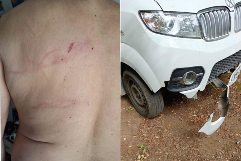 Agresión a dueño de terreno tras disputa por acceso a Radal 7 Tazas
