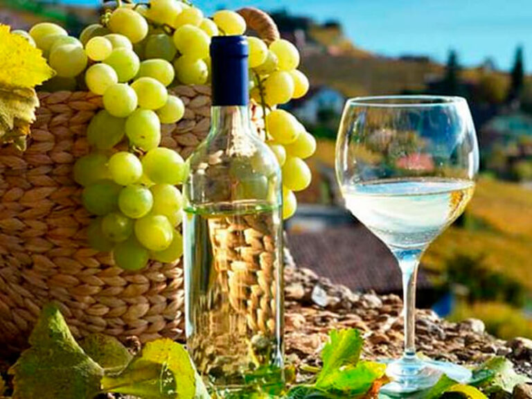 Sustraen más de 60 cajas de pisco desde camión en Maquehua