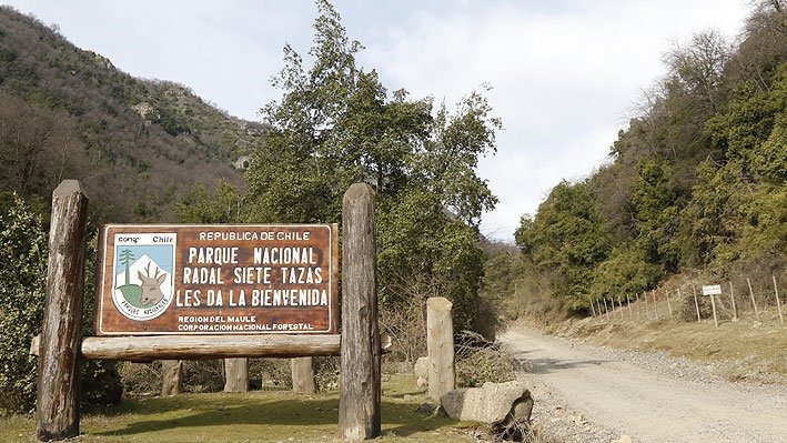 Inician proceso de pavimentación de camino entre Radal Siete Tazas y Parque Nacional