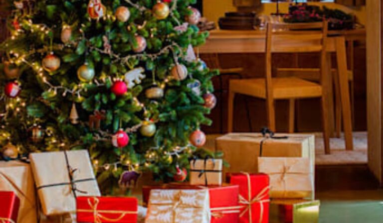 ¿Cuándo se Desarma Arbolito de Navidad?: Dilema Post Navidad