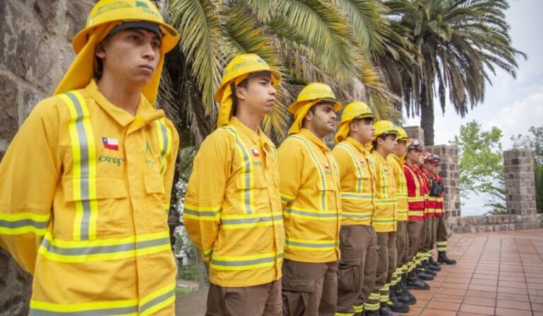 Botón Rojo en el Maule: 25 comunas son foco de incendios
