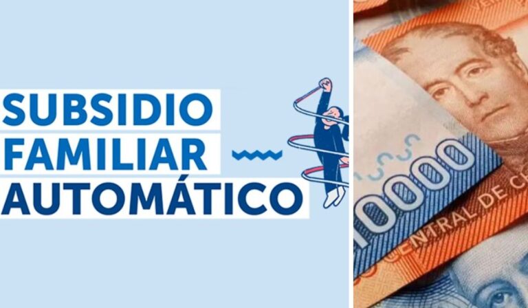 Más de 22 mil niños en el Maule obtienen Subsidio Familiar Automático