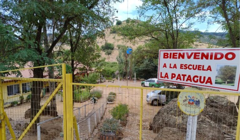 Pencahue: Roban en escuela La Patagua y viviendas del sector rural