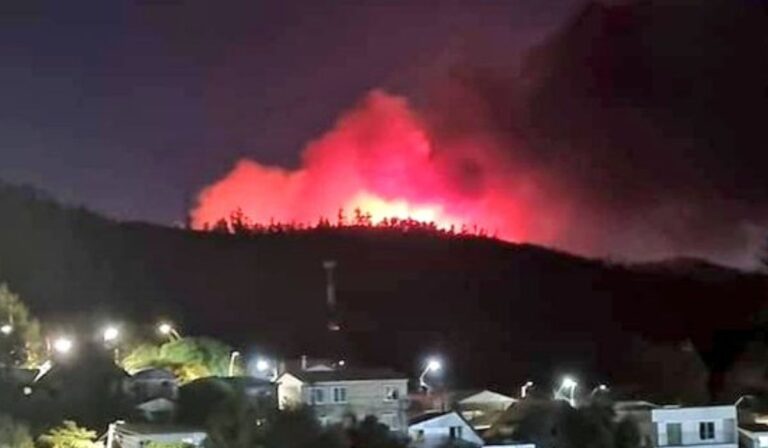Constitución: Incendio forestal arrasó con 15 hectáreas