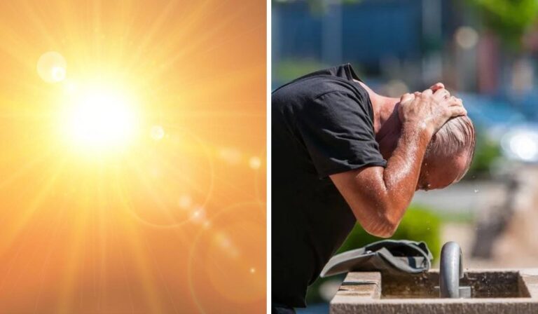 Ola de Calor: T° podrían superar los 37° en la región del Maule