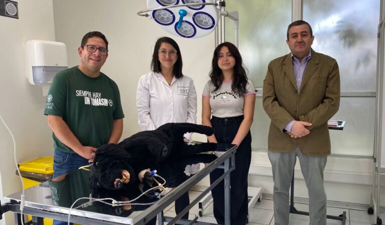 Estudiantes con destacados puntajes PAES eligen estudiar en la UST Talca