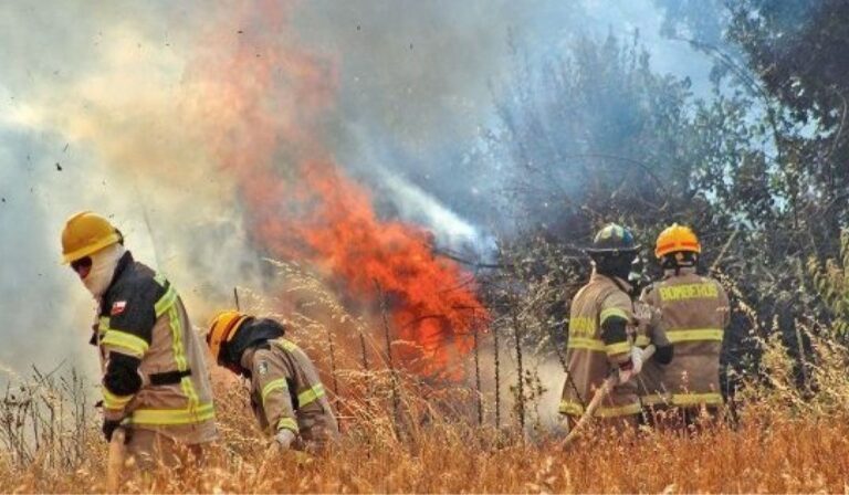 Calurosa jornada registró 10 incendios forestales en el Maule