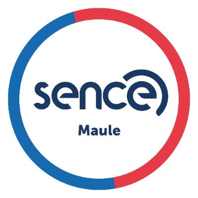EL CENTRO TE AYUDA: Sence Ofrece Talleres Gratuitos de Orientación Laboral