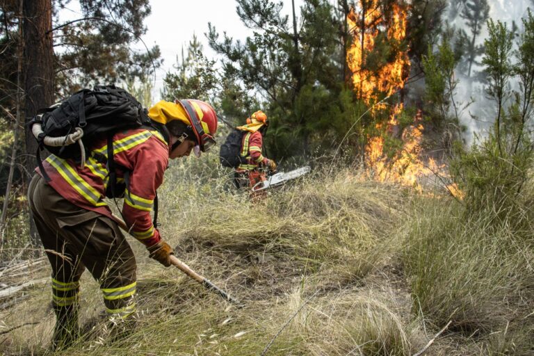 CONAF: Alto Riesgo de Incendios Ante Pronóstico de Altas Temperaturas