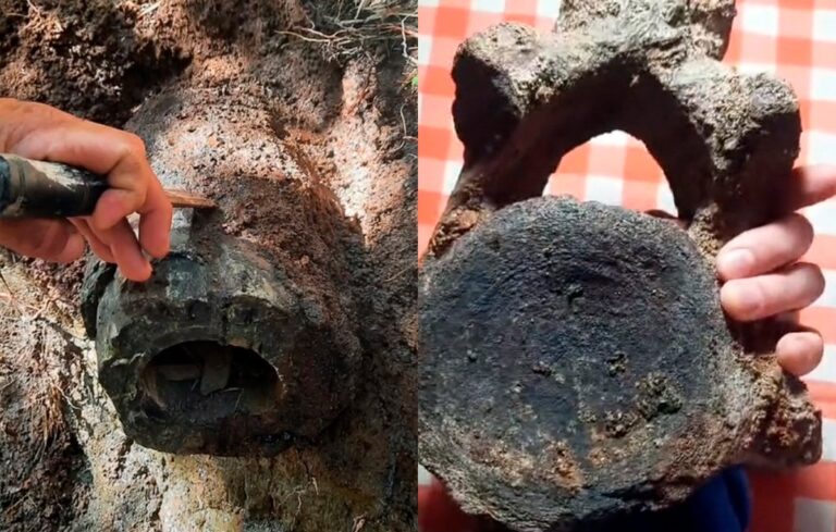 [Video] Encuentran Posibles Fósiles de Animales Prehistóricos en la Región del Maule