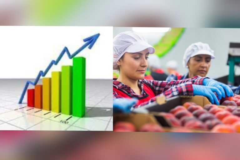 Desempleo en el Maule baja a 7,5%: Crecimiento de empleo y fuerza laboral marca un hito
