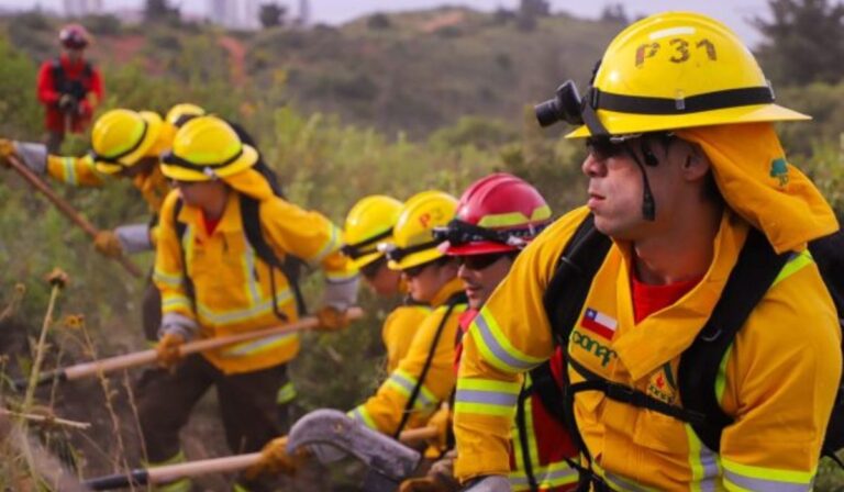 ¡Incendios extinguidos! El Maule entró en alerta preventiva